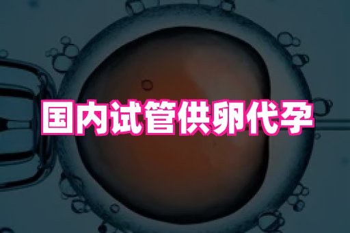 权威助孕网 1