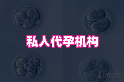 权威助孕网 3